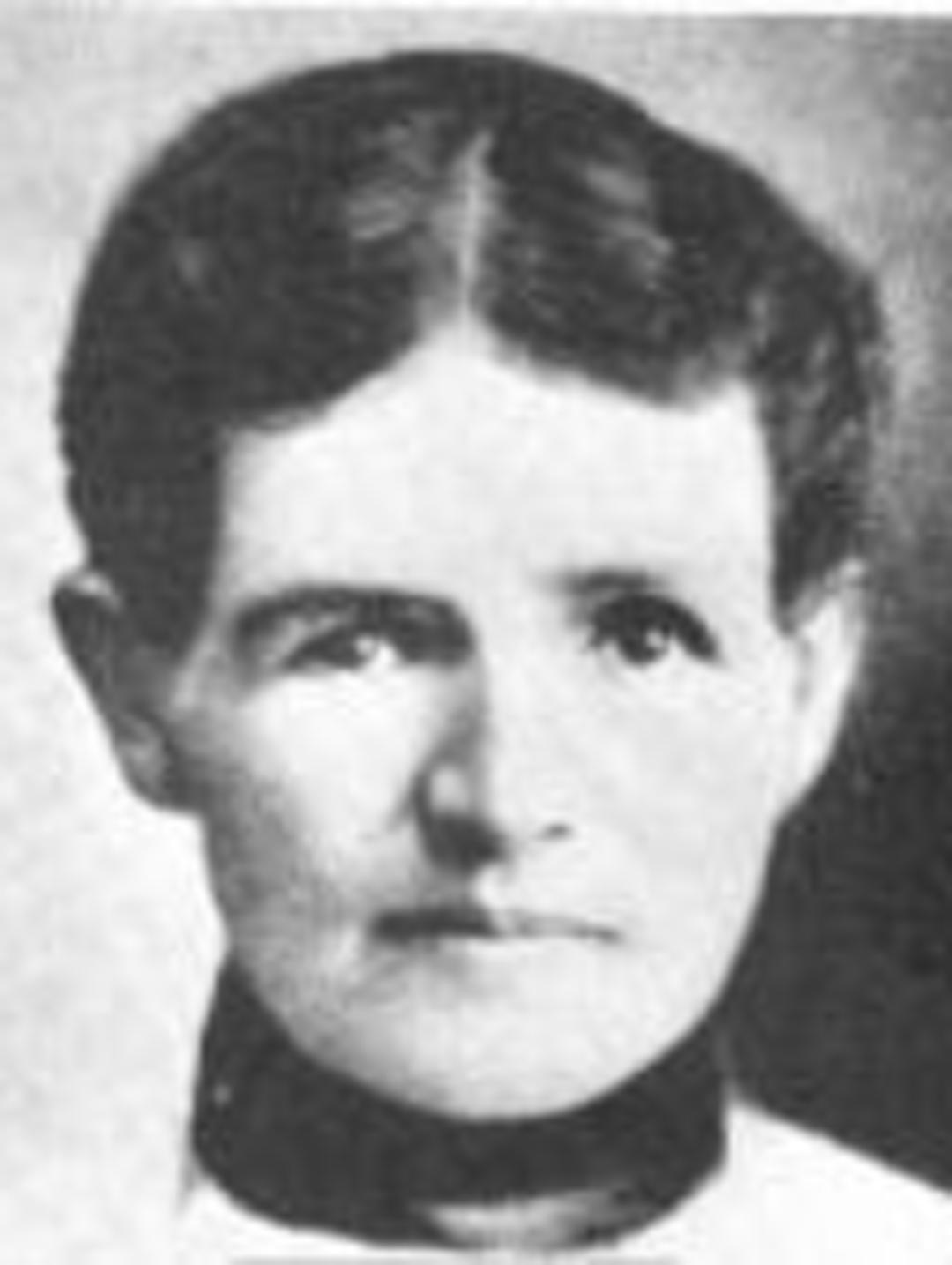 Mary Harriet Holt (1860 - 1932) Profile